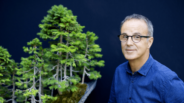 Franรงois Pinochet Manager bonsaรฏka entreprise vรฉgรฉtale