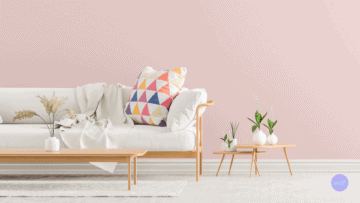 Un canapรฉ pour illustrer l'essor des franchises d'ameublement.