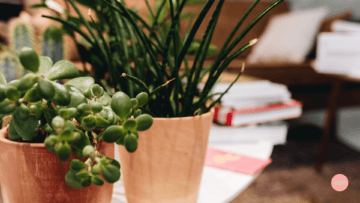 Photo de couverture : Franchise et RSEย :โจ Deux outils facilitants,โจcrรฉรฉs spรฉcifiquement pour les rรฉseaux