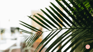 Franchise et RSE (2/5)ย :โจDeux concepts rรฉpondant ร des problรฉmatiques environnementales et sociรฉtales