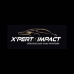 Logo Franchise X'PERT IMPACT